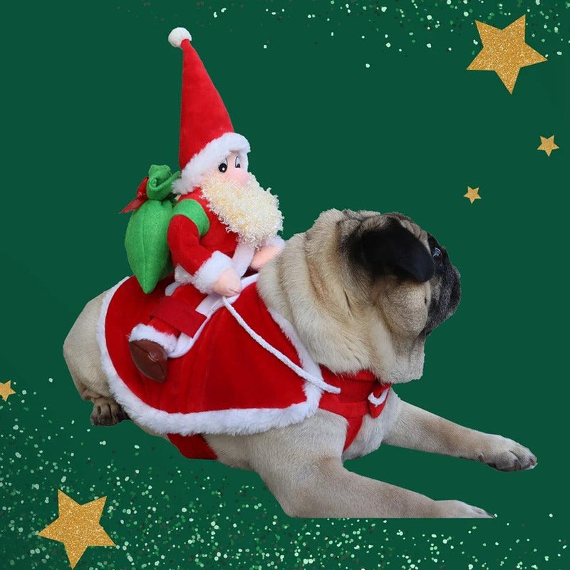 🎅 Roupinha de Natal para Cães